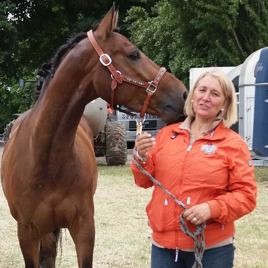 tierpyhsiotherapie-pferd