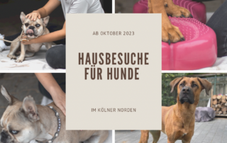 Hausbesuche für Hunde im Kölner Norden